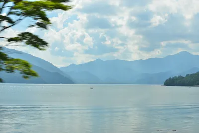 DSC_3910 (Large).JPG